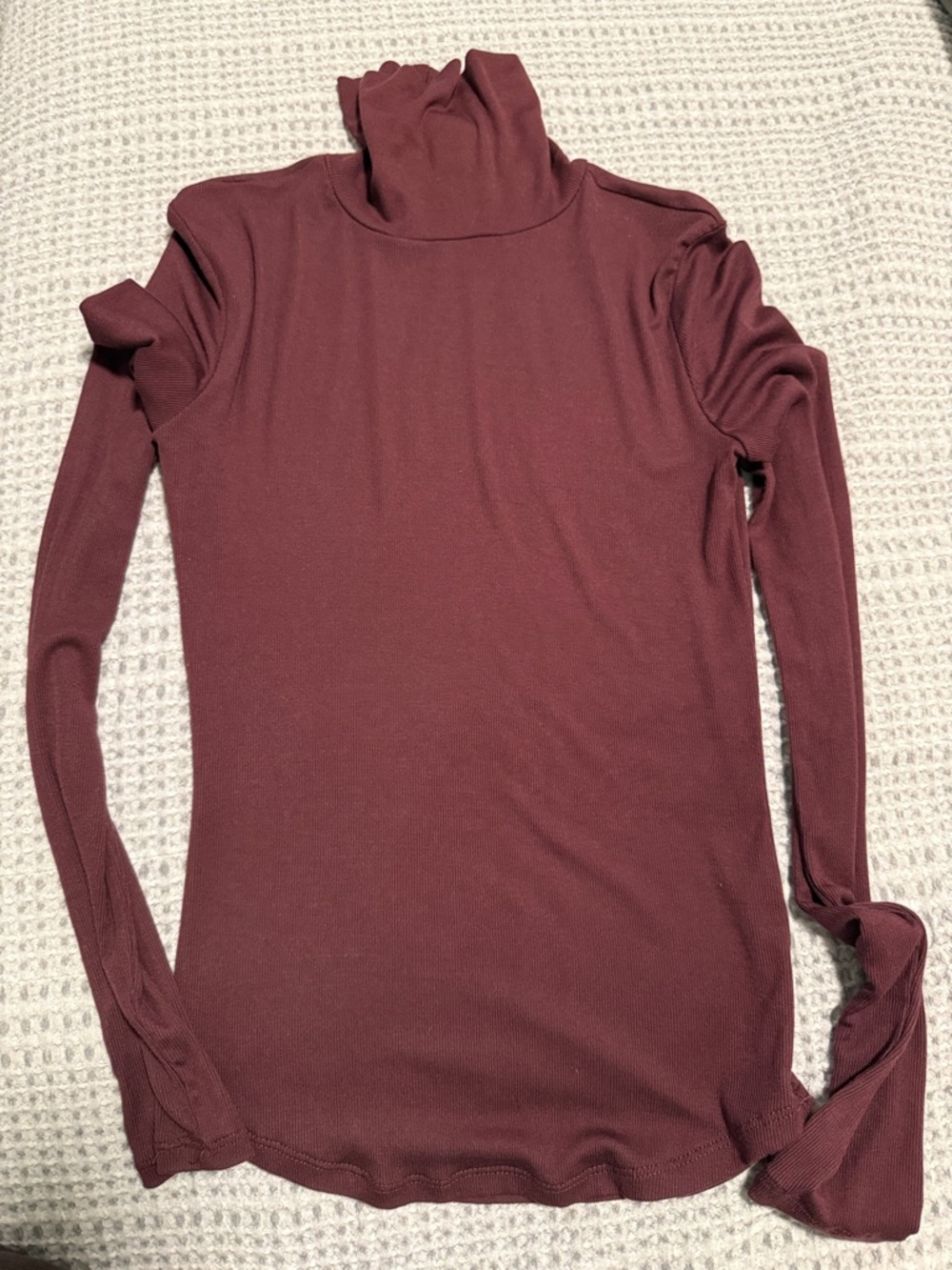 Aritzia Sunday Best Turtleneck